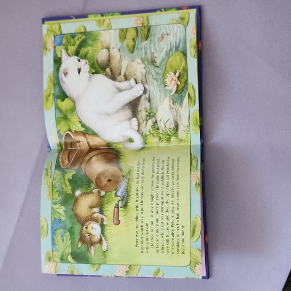 Peter Rabbit Storybook - Picture 3 of 3